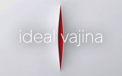 İdeal Vajina